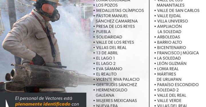 fumigación en Morelia