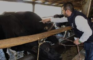 Gob municipal apoya a ganaderos