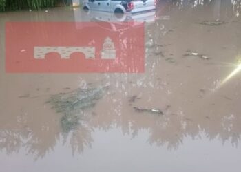 inundación canchas de Policía y Tránsito Morelia-Morelia Informativo