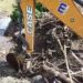 jornada de limpieza dren Barajas
