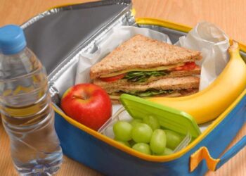 lunch sano