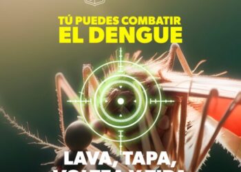 Protege a tu familia del dengue con estas recomendaciones de la SSM