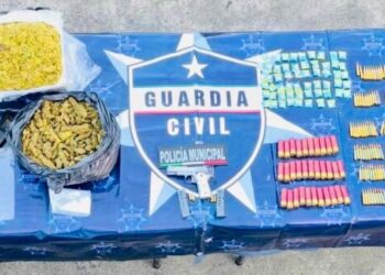 Armas, droga y cartuchos útiles asegurados por SSP