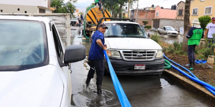 Ayuntamiento limpieza integral Hacienda Tiníjaro
