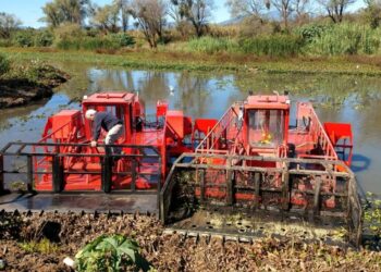 Desazolve Lago de Pátzcuaro