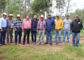 Gobierno Municipal continúa con trabajos de rehabilitación de caminos rurales-Morelia Informativo