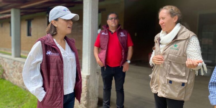 Sí Financia y asociación Alternare harán frente común por el desarrollo del oriente michoacano-Morelia Informativo