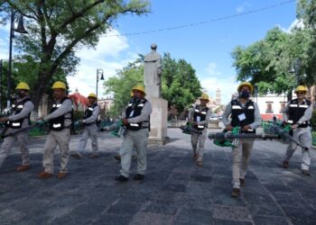 SSM ha fumigado más de 142 mil hectáreas para proteger a michoacanos contra el dengue-Morelia Informativo