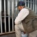 Entrena Zoológico de Morelia a osa pardo para cuidar su salud-Morelia Informativo