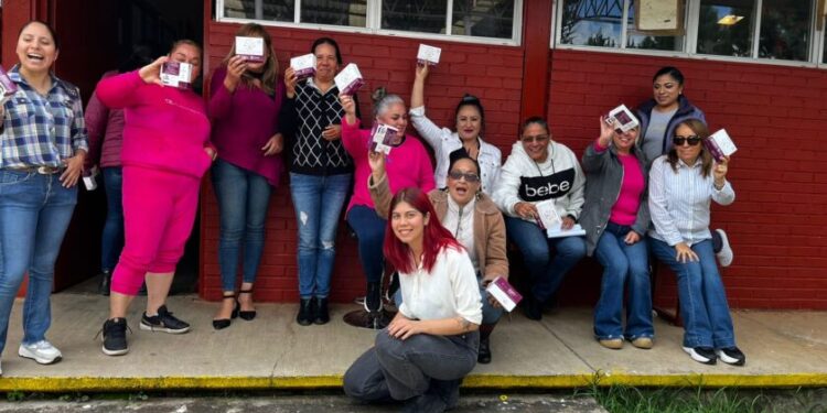 Michoacán avanza en la atención de la pobreza menstrual: Seimujer-Morelia Informativo