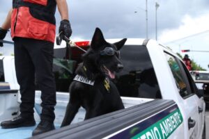 Fiscalía General, presente en el desfile cívico-militar conmemorativo al aniversario del inicio de la Independencia de México-Morelia Informativo1