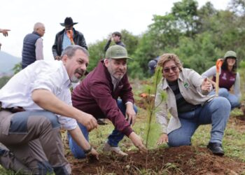 Con Plan Morelos sectores agrícola e industrial remediarán daños que causen al ambiente: Bedolla