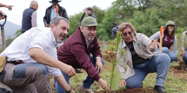 Con Plan Morelos sectores agrícola e industrial remediarán daños que causen al ambiente: Bedolla