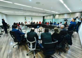 Senadoras y senadores del PRI