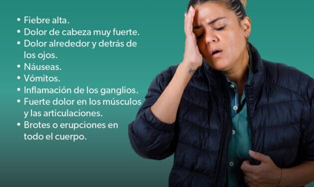 Síntomas del dengue