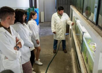 Maestría en Ciencias Biológicas de la UMSNH, una opción para tu crecimiento profesional