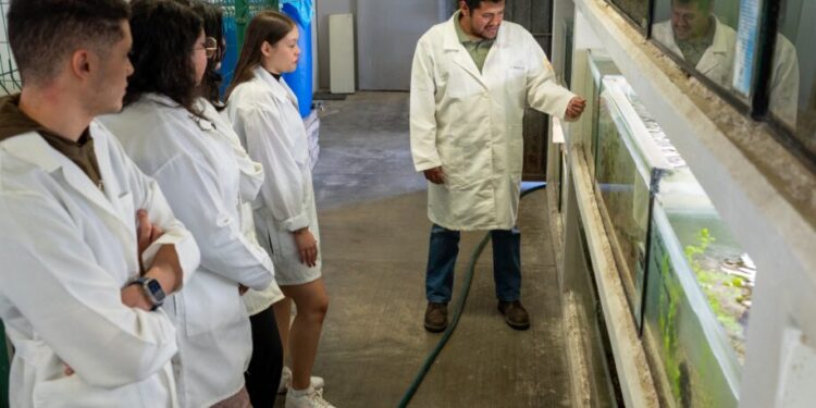 Maestría en Ciencias Biológicas de la UMSNH, una opción para tu crecimiento profesional