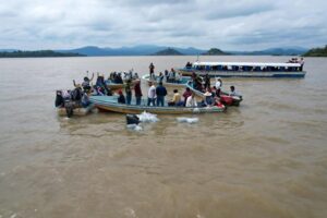 Liberan 15 mil peces acúmara en el lago de Pátzcuaro; especie en peligro de extinción-Morelia Informativo2