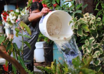 Olla de captación de agua en Cuanajillo del Toro ya beneficia a 70 familias con apoyo del Gobierno de Morelia-Morelia Informativo