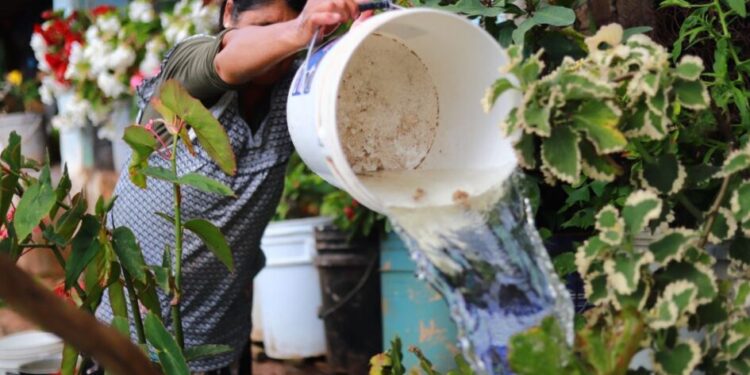 Olla de captación de agua en Cuanajillo del Toro ya beneficia a 70 familias con apoyo del Gobierno de Morelia-Morelia Informativo