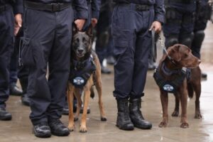 Con Cuartel Valladolid de la Guardia Civil mejorará seguridad-Morelia Informativo2