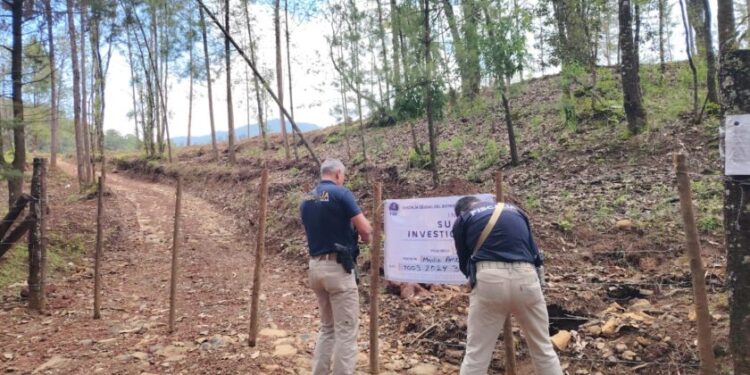 aseguran predio delitos medio ambiente ollas captación pluvial