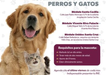 campaña esterilización perros y gatos