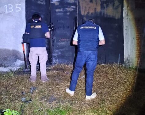 En cateo, asegura Fiscalía General dos ejemplares caninos en condiciones de maltrato animal