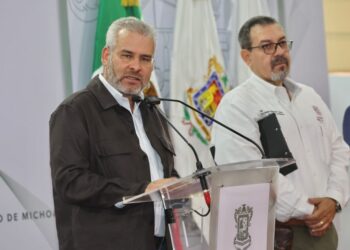 Se envió a empaques de aguacate, lista de huertas que incurrieron en deforestación: Bedolla