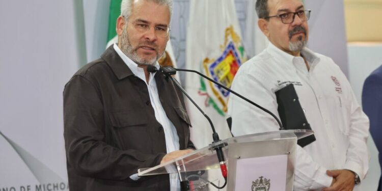 Se envió a empaques de aguacate, lista de huertas que incurrieron en deforestación: Bedolla