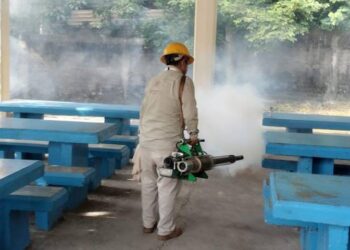 fumigación dengue Lázaro Cárdenas