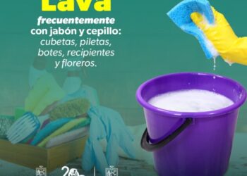 Combate el dengue desde casa con estas sencillas acciones que comparte la SSM