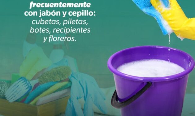 Combate el dengue desde casa con estas sencillas acciones que comparte la SSM