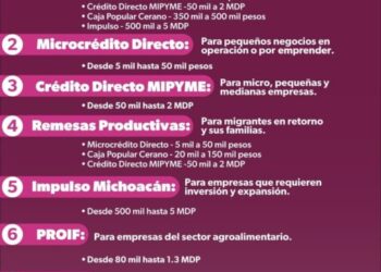Conoce los 7 tipos de crédito del Sí Financia para iniciar o hacer crecer tu negocio