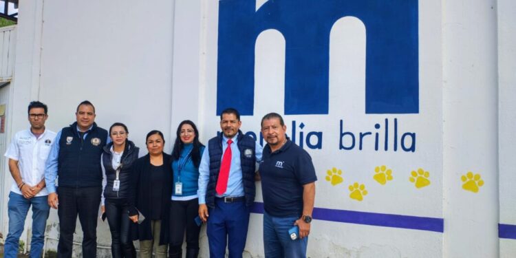 Fortalece FGE acciones de coordinación interinstitucional, a favor del bienestar animal