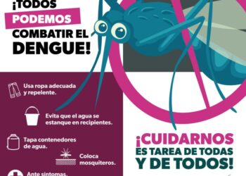 Escuelas libres de dengue: SEE-Morelia Informativo