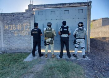 En cateo interinstitucional realizado en la colonia Valle de los Manantiales, se aseguran 925 dosis de metanfetamina y fue detenida una persona-Morelia Informativo