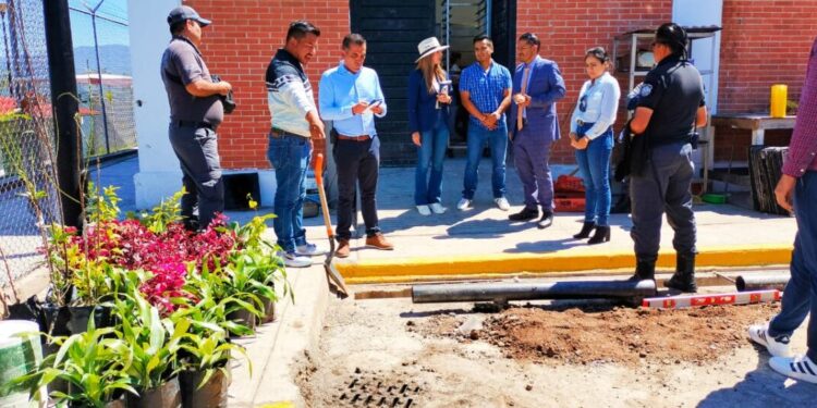 FGE logra donación de plantas para el Centro Penitenciario Lic. David Franco Rodríguez-Morelia Informativo