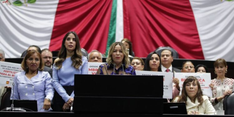 Programas del Bienestar, estrategia que impulsa el desarrollo del pueblo de México: Vanessa López-Morelia Informativo