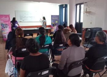 Más de 14 mdp para prevención del embarazo adolescente en los últimos 4 años: Seimujer