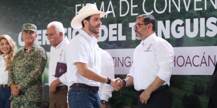 Se reforzarán operativos de seguridad para productores de limón: SSP-Morelia Informativo