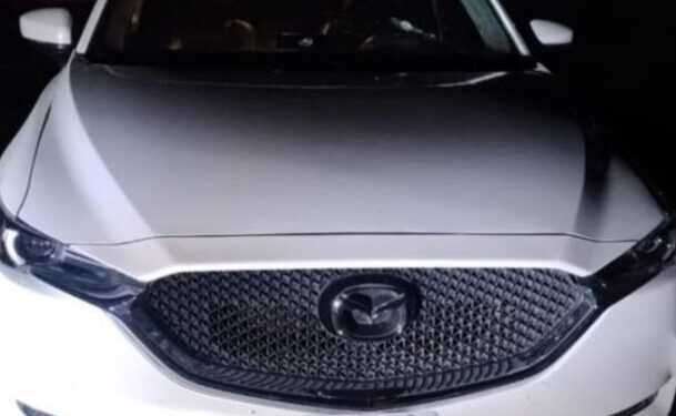 Detenidos 8 hombres por su presunta participación en un robo, en Cuitzeo-Morelia Informativo