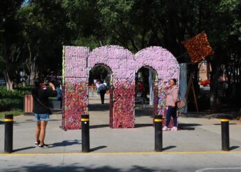 Feria Rosa del DIF Morelia logra recursos para apoyar a 150 mujeres con cáncer de mama-Morelia Informativo