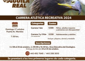 Correrán en el Zoológico de Morelia por el águila real