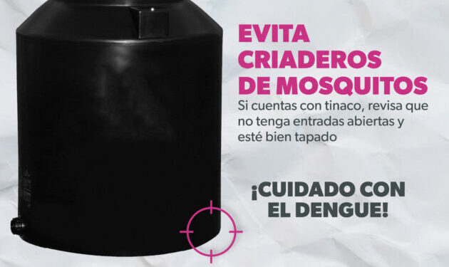 Evita criaderos de mosquitos en tu escuela y protégete del dengue