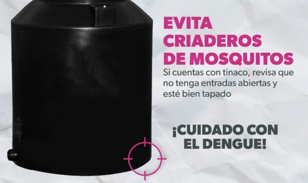 Sigue estas recomendaciones de la SEE para prevenir el dengue en escuelas