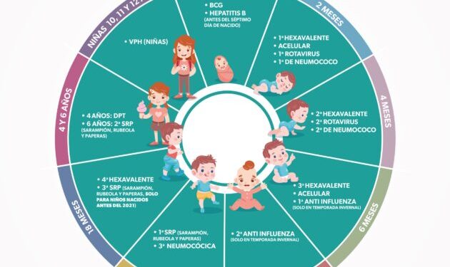 Estas vacunas puedes aplicar a niñas y niños en centros de salud de la SSM