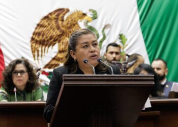 Busca Belinda Iturbide defender a ciudadanos de los cobros excesivos de la CFE