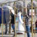 Invita gobierno de Morelia a inauguración de pista de hielo y encendido navideño