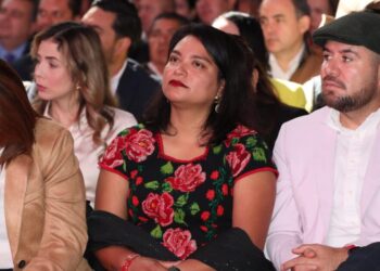 Desde el Congreso apoyamos la autonomía de los pueblos originarios: Erendira Isauro